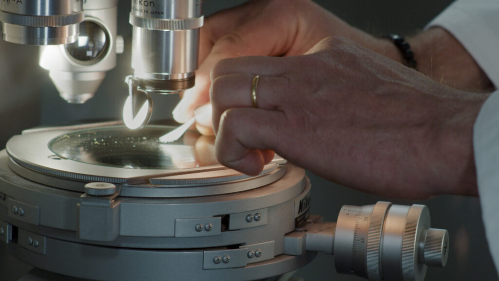 Undersökning av borst i ett mikroskop